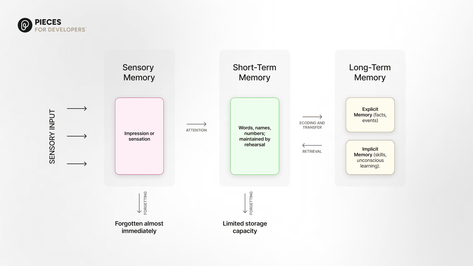 Illustration comparing long-term and short-term memory, highlighting differences in retention, recall, and information processing in AI and humans